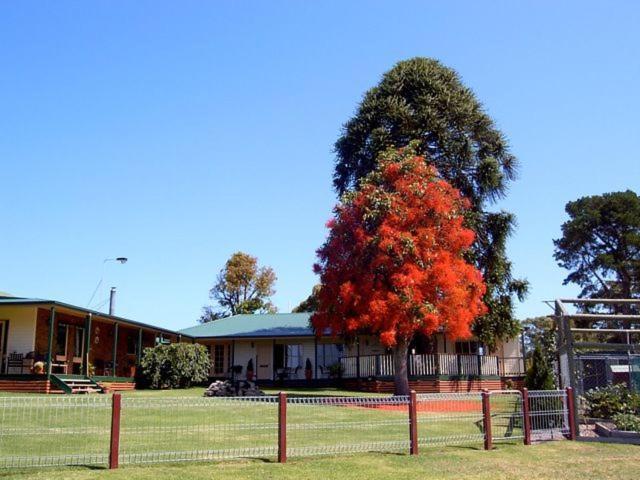 Snowy River Homestead Newmerella エクステリア 写真
